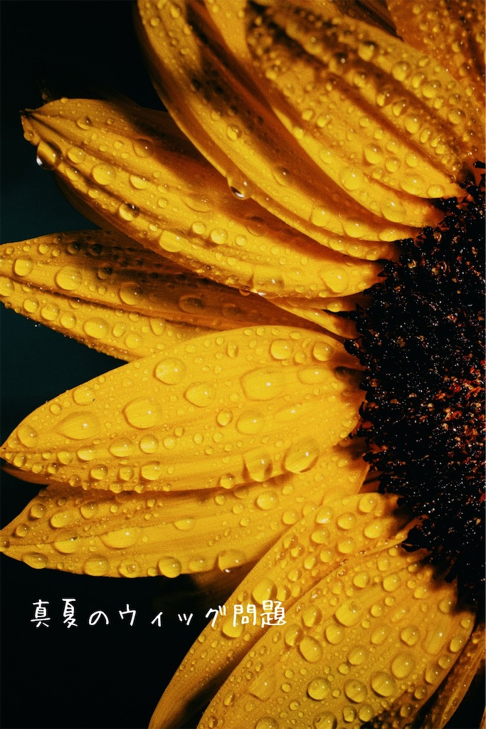 f:id:TAKA4612:20260709225440j:image
