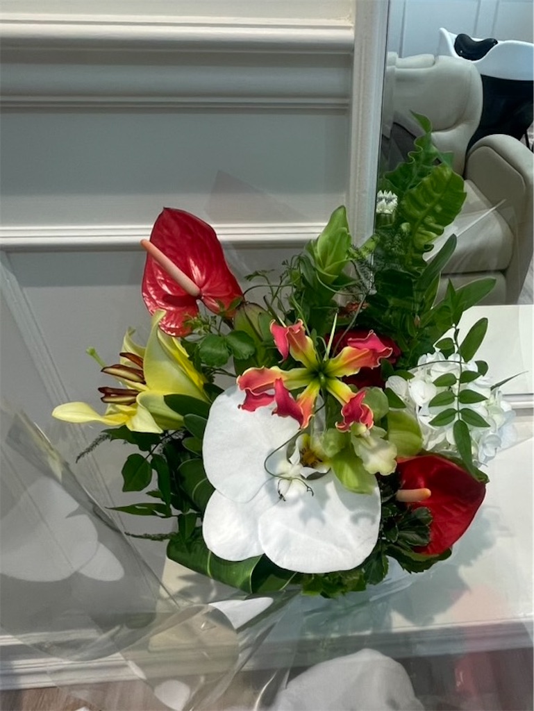 f:id:TAKA4612:20260713231430j:image f:id:TAKA4612:20260713231430j:image
