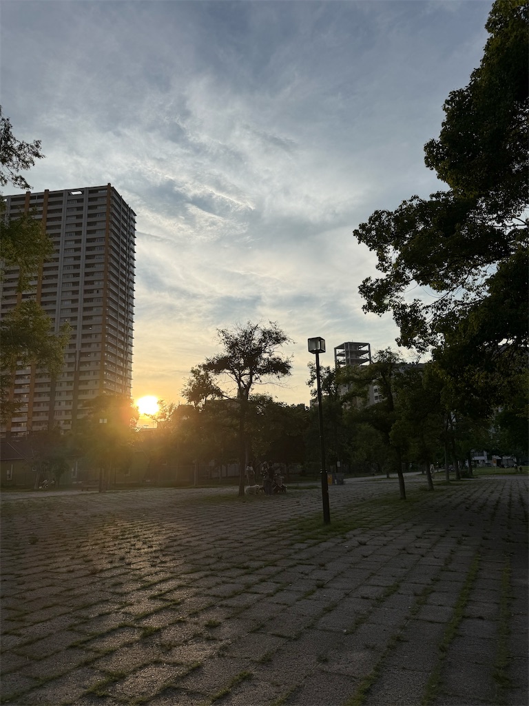 f:id:TAKA4612:20260713231539j:image f:id:TAKA4612:20260713231539j:image