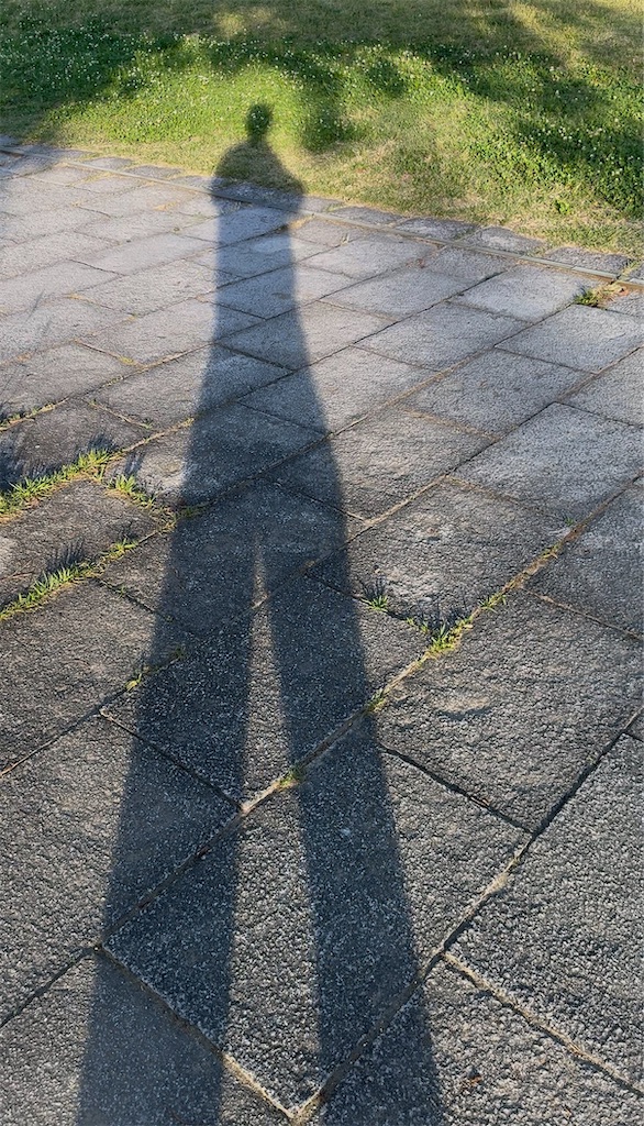 f:id:TAKA4612:20260715235955j:image f:id:TAKA4612:20260715235955j:image