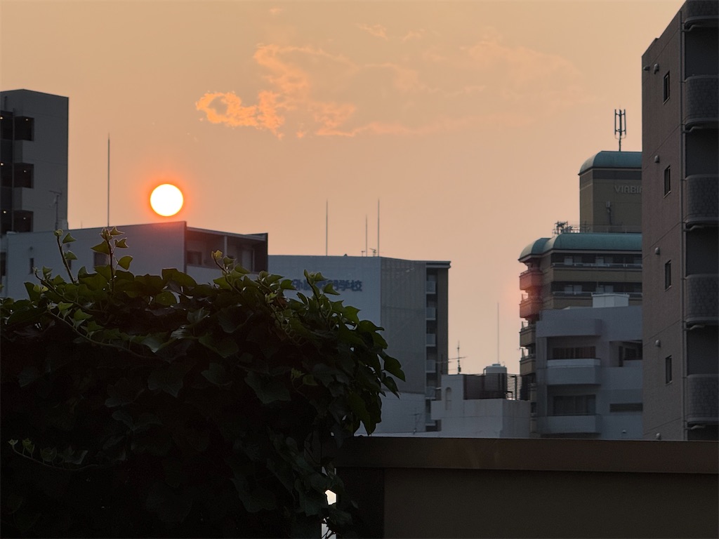 f:id:TAKA4612:20260721000842j:image f:id:TAKA4612:20260721000842j:image