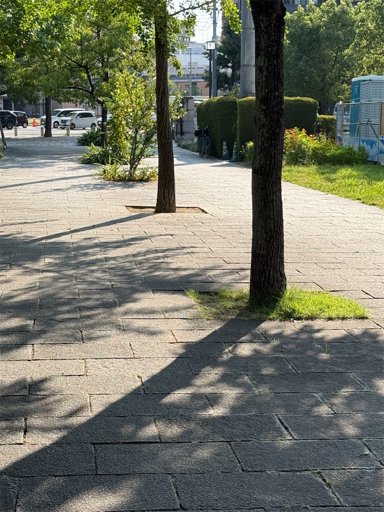 f:id:TAKA4612:20260724232209j:image f:id:TAKA4612:20260724232209j:image
