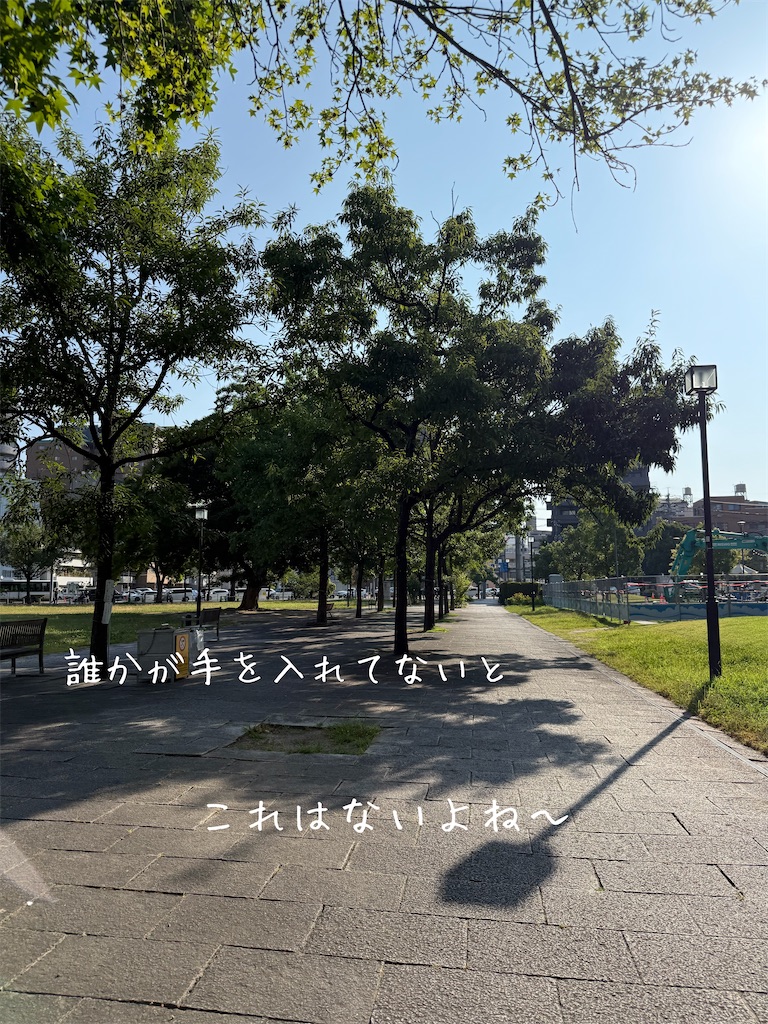 f:id:TAKA4612:20260724235127j:image f:id:TAKA4612:20260724235127j:image