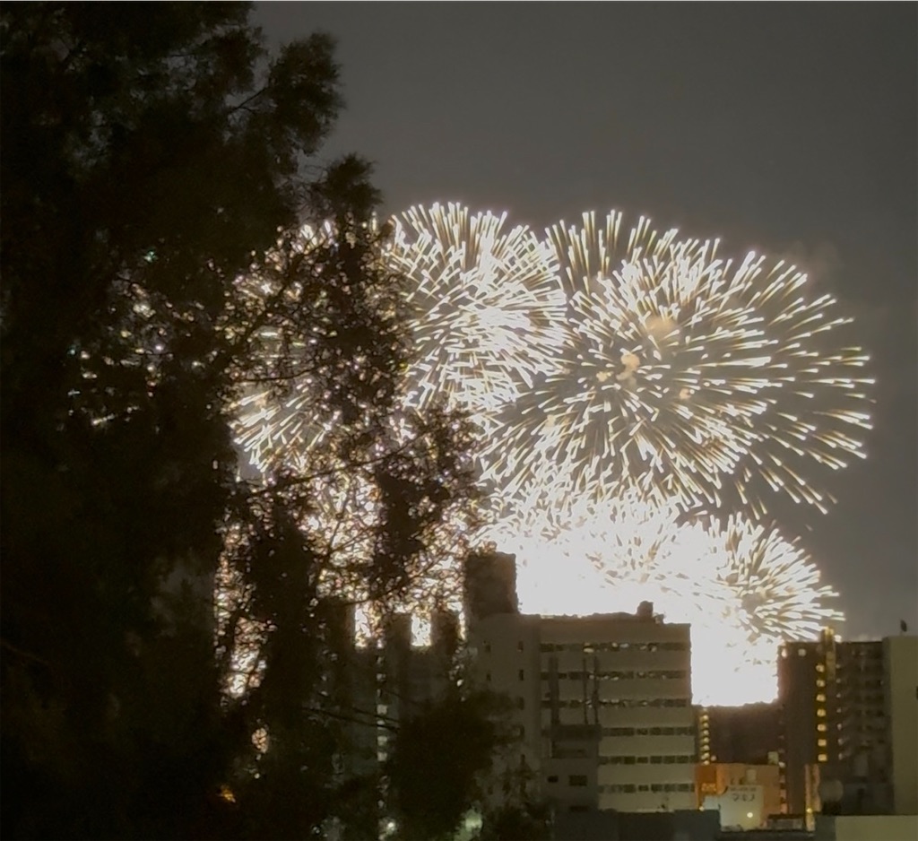 f:id:TAKA4612:20260726002515j:image f:id:TAKA4612:20260726002515j:image