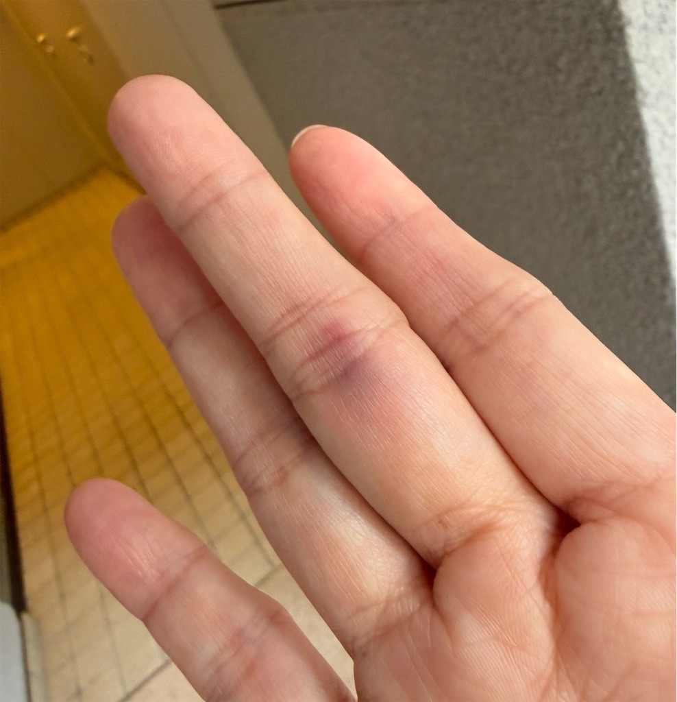 f:id:TAKA4612:20260727234729j:image f:id:TAKA4612:20260727234729j:image