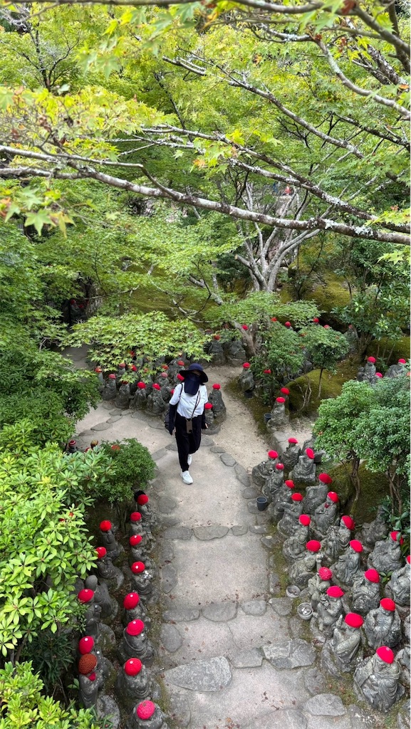f:id:TAKA4612:20260729211358j:image f:id:TAKA4612:20260729211358j:image