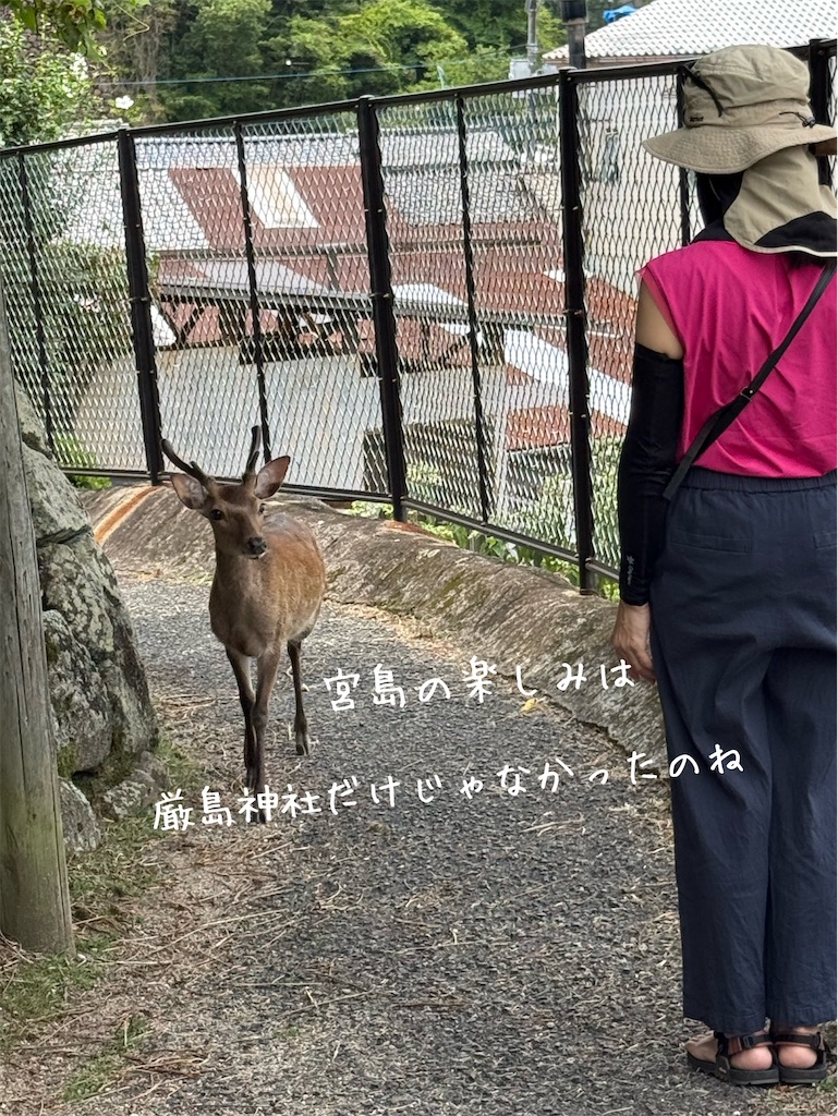 f:id:TAKA4612:20260729222149j:image f:id:TAKA4612:20260729222149j:image