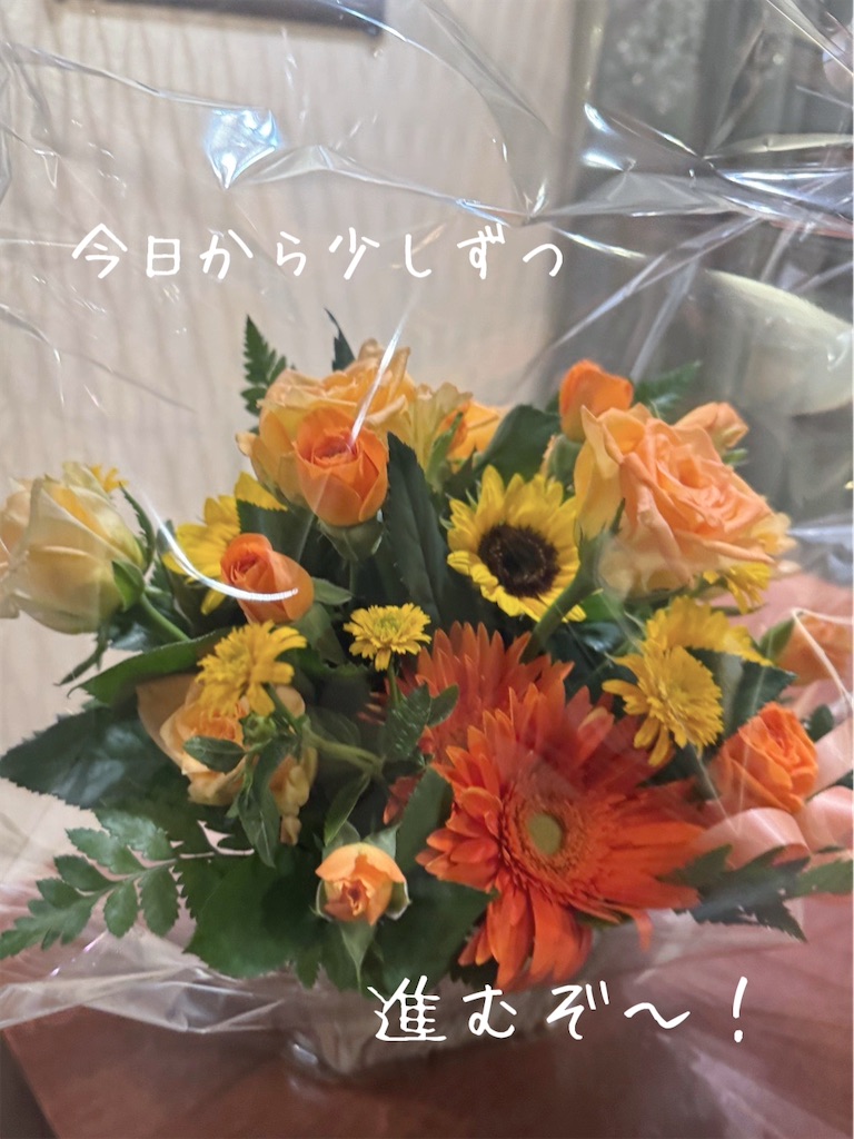 f:id:TAKA4612:20260731215149j:image f:id:TAKA4612:20260731215149j:image