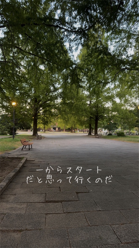 f:id:TAKA4612:20260806232421j:image f:id:TAKA4612:20260806232421j:image