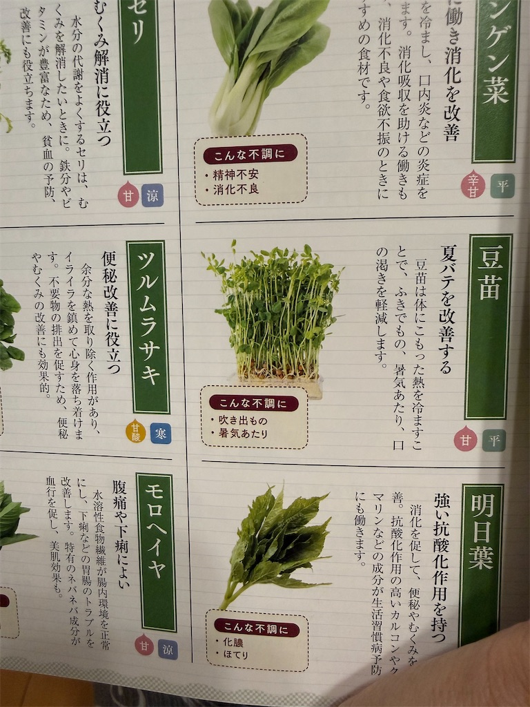f:id:TAKA4612:20260814230342j:image f:id:TAKA4612:20260814230342j:image