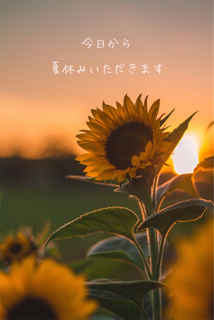f:id:TAKA4612:20260814232444j:image f:id:TAKA4612:20260814232444j:image