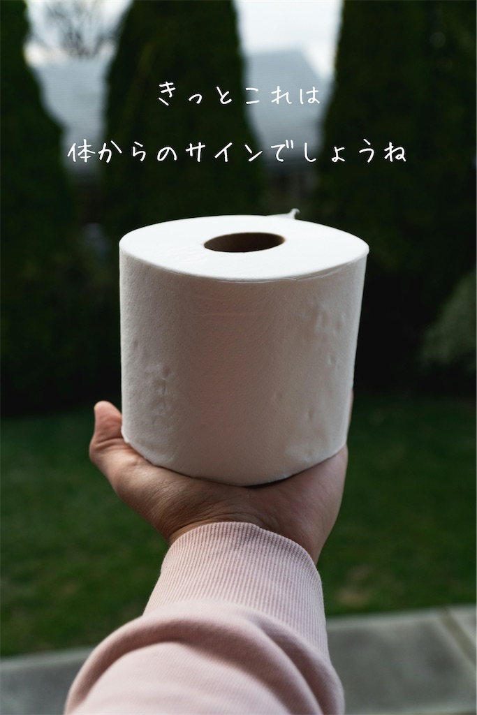f:id:TAKA4612:20260820015529j:image f:id:TAKA4612:20260820015529j:image