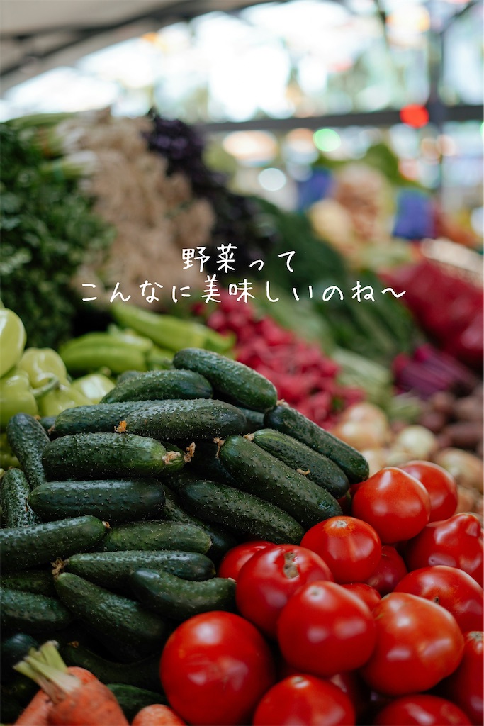 f:id:TAKA4612:20260824232312j:image f:id:TAKA4612:20260824232312j:image