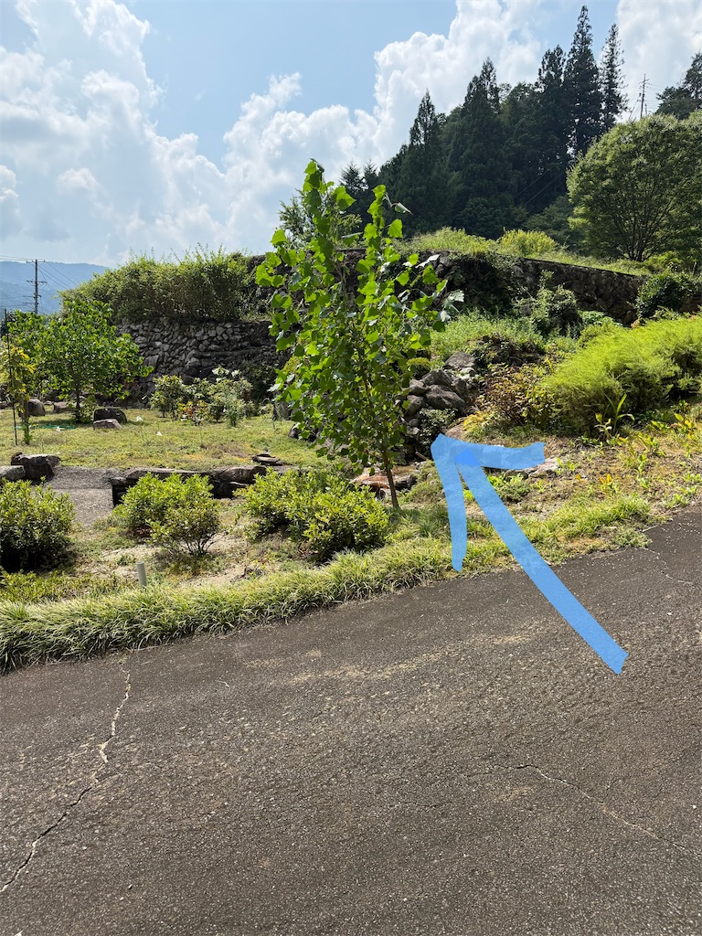 f:id:TAKA4612:20260831213833j:image