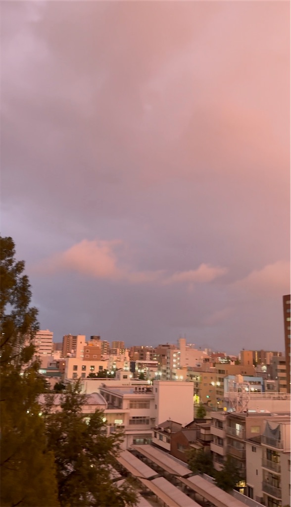 f:id:TAKA4612:20260904215047j:image f:id:TAKA4612:20260904215047j:image