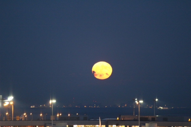 f:id:TAKAMISAWA:20161017223129j:plain f:id:TAKAMISAWA:20161017223129j:plain