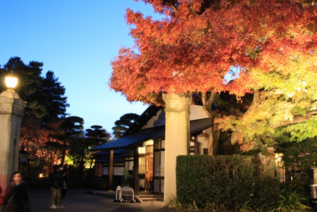 f:id:TAKAMISAWA:20171127180203j:plain f:id:TAKAMISAWA:20171127180203j:plain