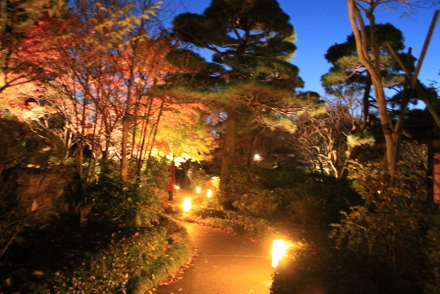 f:id:TAKAMISAWA:20171127180327j:plain f:id:TAKAMISAWA:20171127180327j:plain