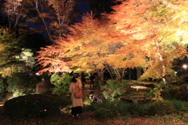 f:id:TAKAMISAWA:20171127180630j:plain f:id:TAKAMISAWA:20171127180630j:plain