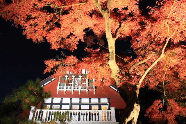 f:id:TAKAMISAWA:20171127180822j:plain f:id:TAKAMISAWA:20171127180822j:plain