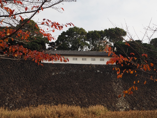 f:id:TAKAMISAWA:20181204222550j:plain f:id:TAKAMISAWA:20181204222550j:plain