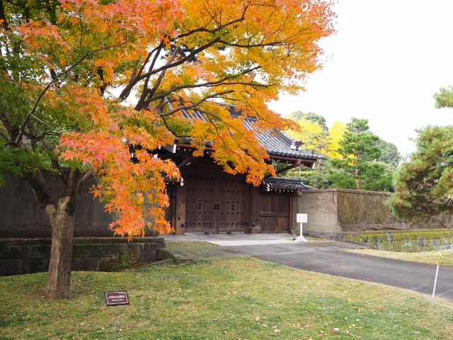 f:id:TAKAMISAWA:20181204222749j:plain f:id:TAKAMISAWA:20181204222749j:plain