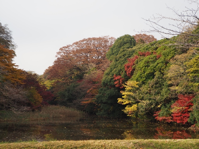 f:id:TAKAMISAWA:20181204223045j:plain f:id:TAKAMISAWA:20181204223045j:plain