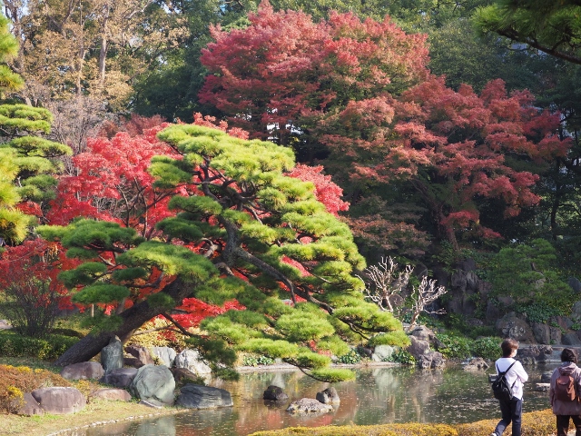 f:id:TAKAMISAWA:20181204223619j:plain f:id:TAKAMISAWA:20181204223619j:plain