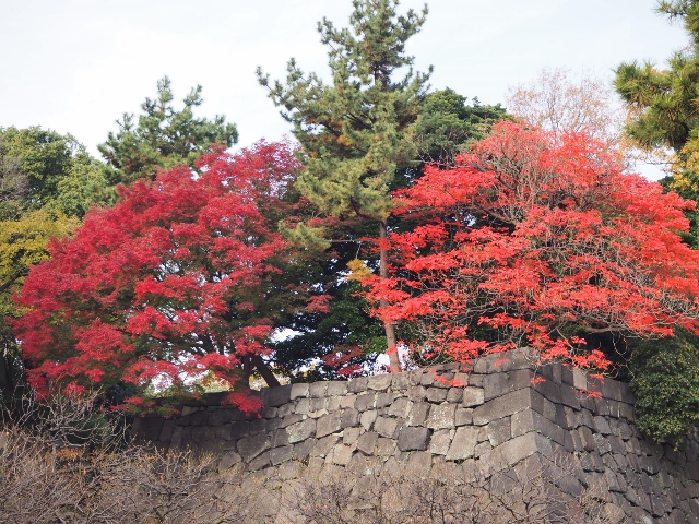 f:id:TAKAMISAWA:20181204223721j:plain f:id:TAKAMISAWA:20181204223721j:plain