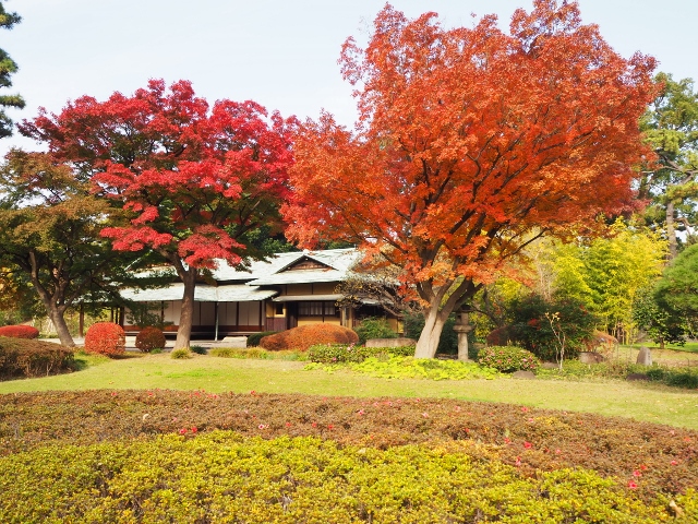 f:id:TAKAMISAWA:20181204223811j:plain f:id:TAKAMISAWA:20181204223811j:plain