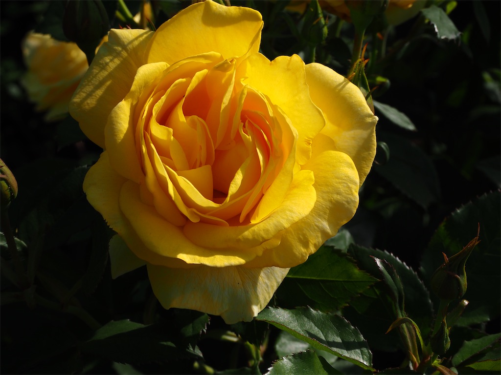 f:id:TAKAMISAWA:20230525162752j:image