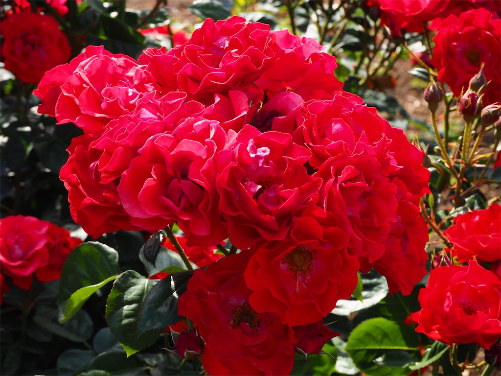 f:id:TAKAMISAWA:20230525162945j:image