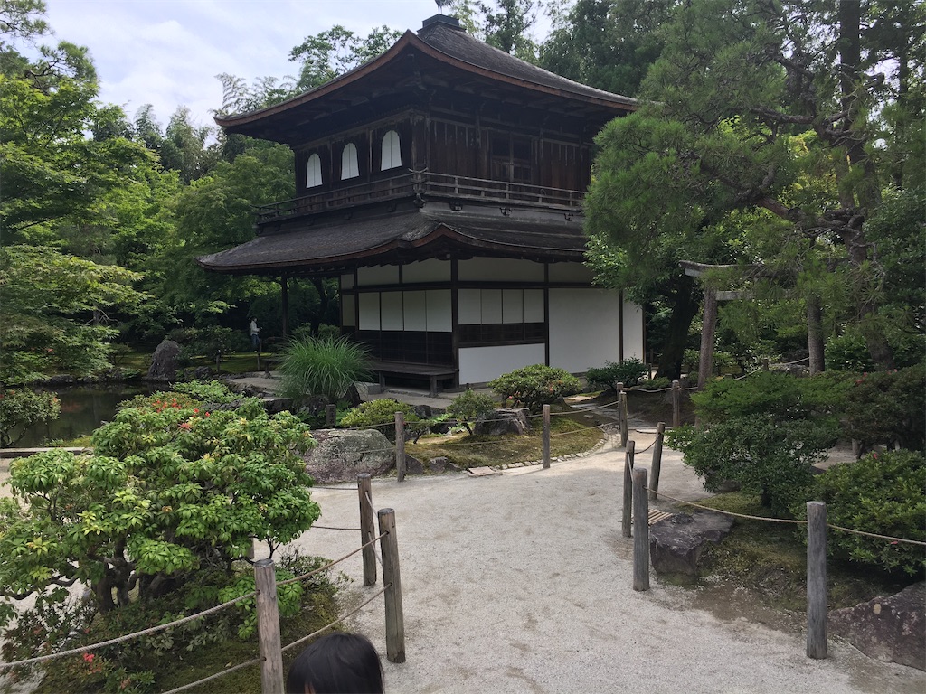f:id:TAKANOHARA:20200622190137j:image f:id:TAKANOHARA:20200622190137j:image
