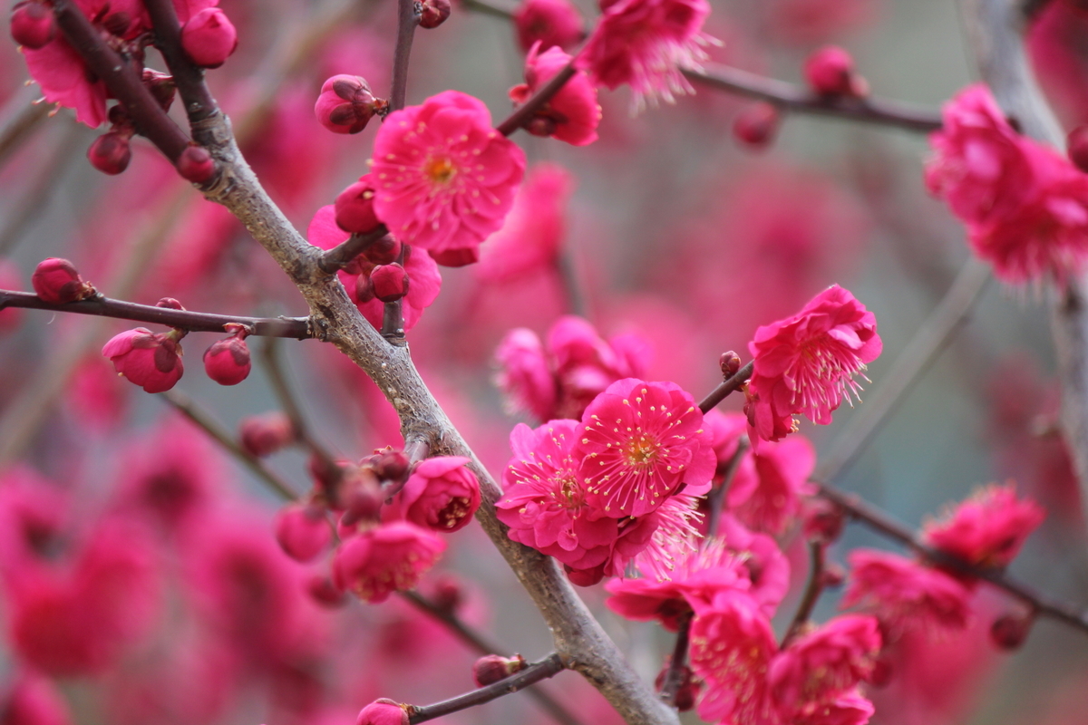 f:id:TAKAOKIYOMI:20200131191933j:plain f:id:TAKAOKIYOMI:20200131191933j:plain