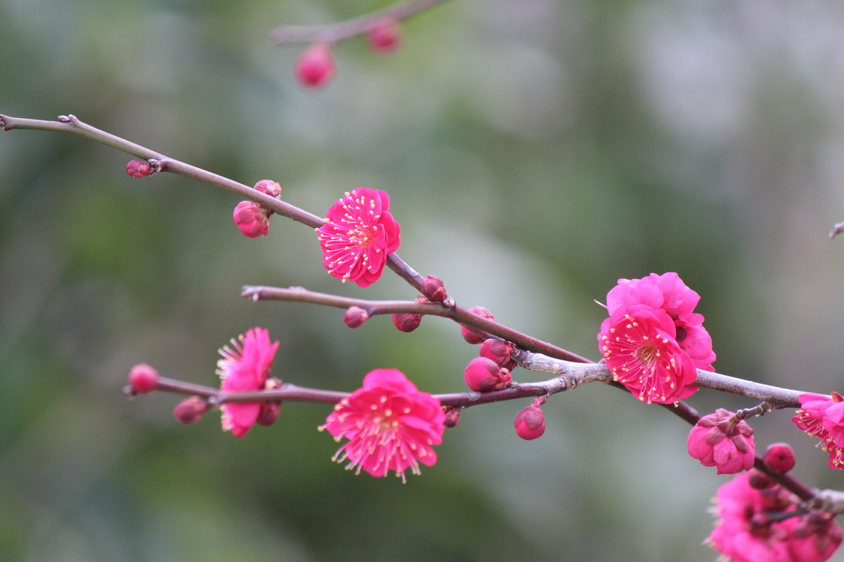 f:id:TAKAOKIYOMI:20200131192157j:plain f:id:TAKAOKIYOMI:20200131192157j:plain