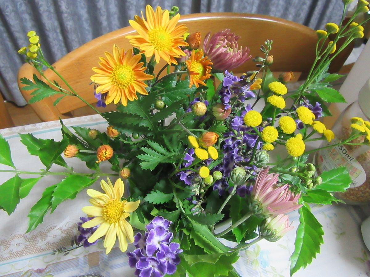 f:id:TAKAOKIYOMI:20201114212540j:plain f:id:TAKAOKIYOMI:20201114212540j:plain
