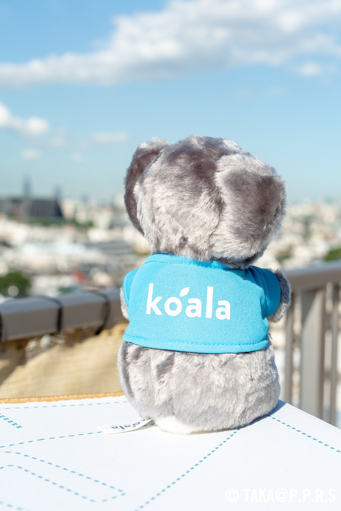 f:id:TAKAPPRS:20170918145642j:plain