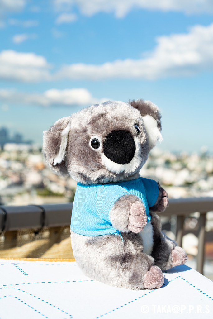 f:id:TAKAPPRS:20170918145651j:plain