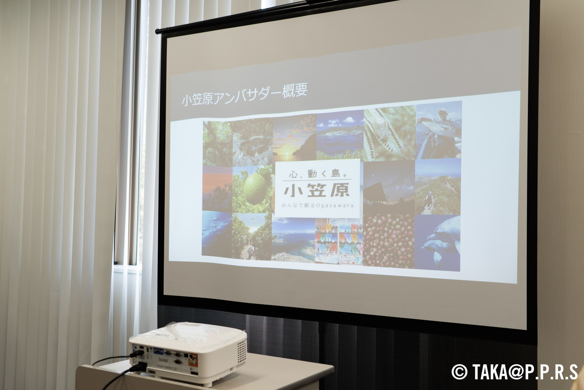 f:id:TAKAPPRS:20190321131516j:plain