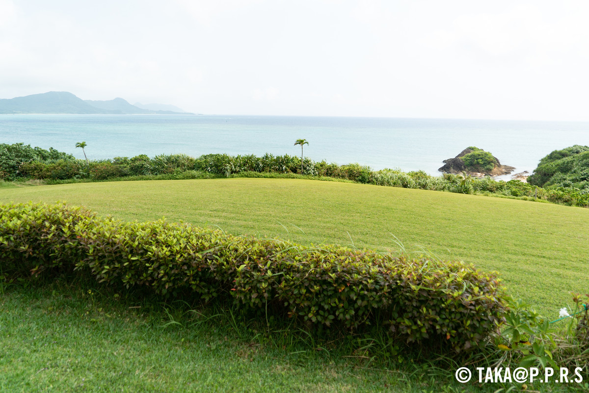 f:id:TAKAPPRS:20190409103050j:plain