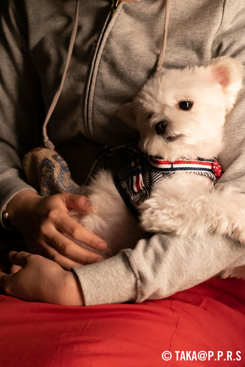 f:id:TAKAPPRS:20190627212115j:plain