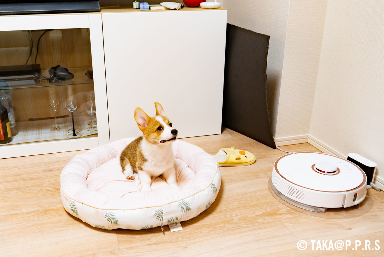 f:id:TAKAPPRS:20190707023032j:plain