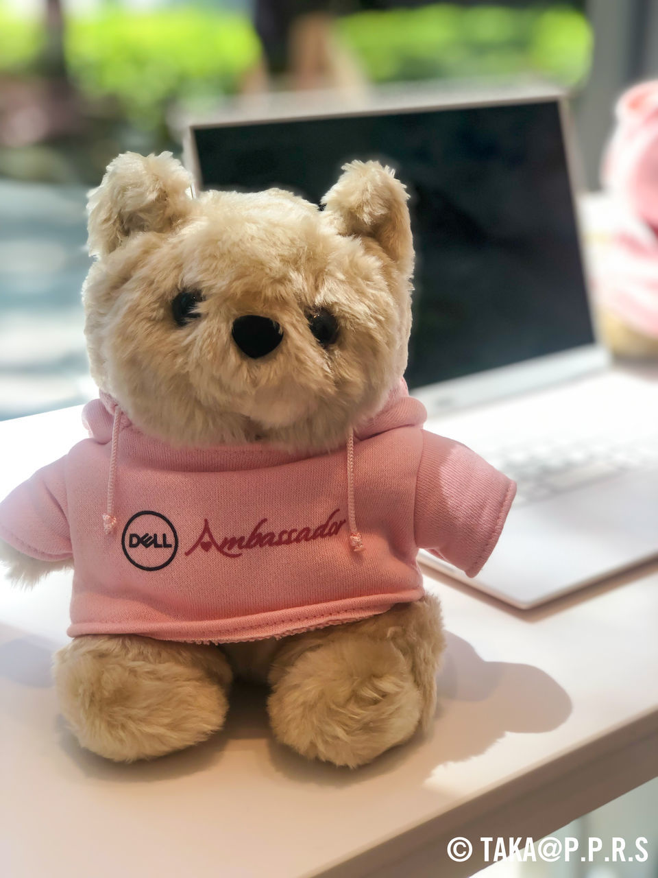 f:id:TAKAPPRS:20190810133129j:plain