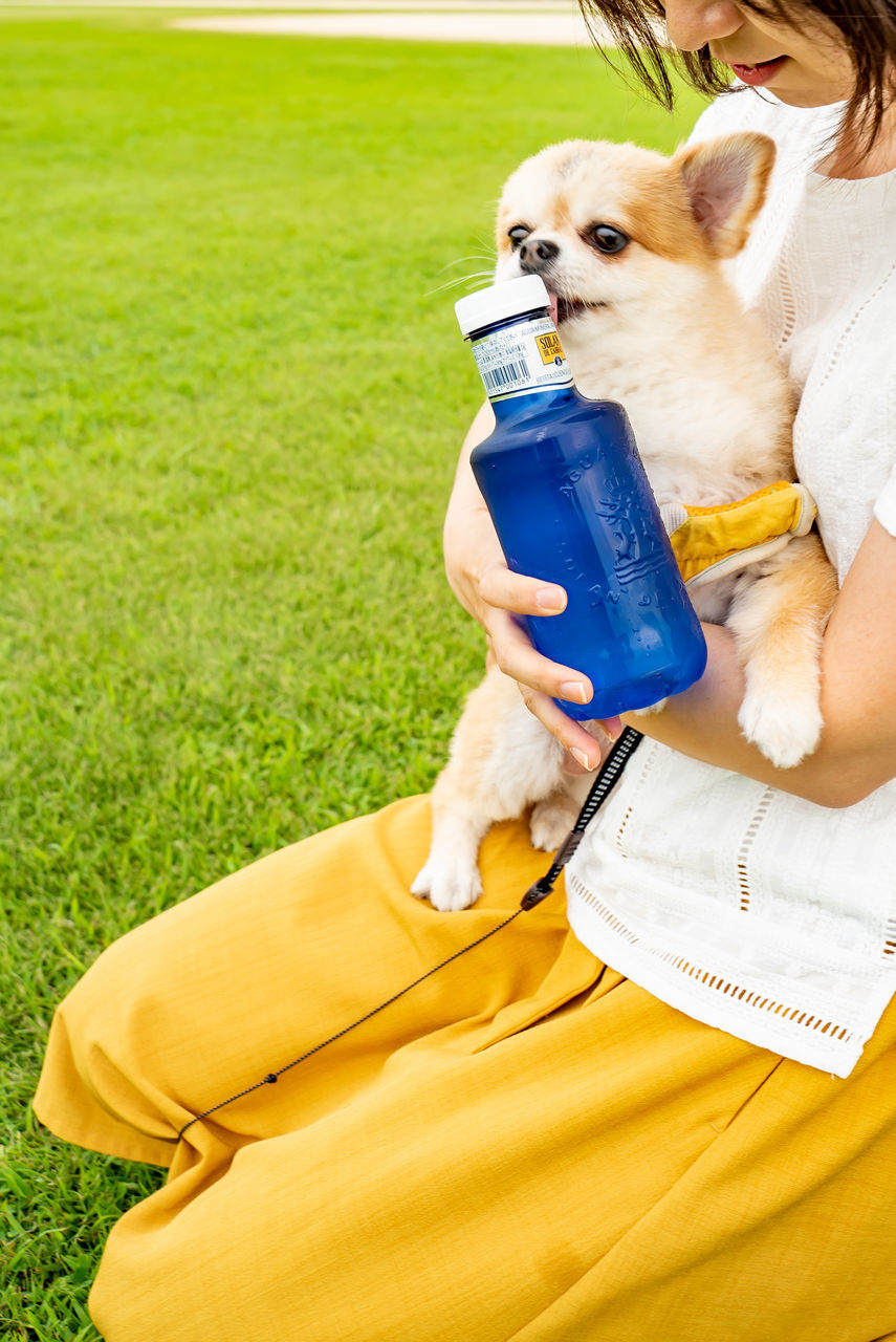 f:id:TAKAPPRS:20190916183858j:plain f:id:TAKAPPRS:20190916183858j:plain