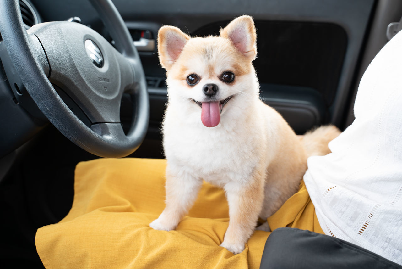 f:id:TAKAPPRS:20190916183954j:plain f:id:TAKAPPRS:20190916183954j:plain