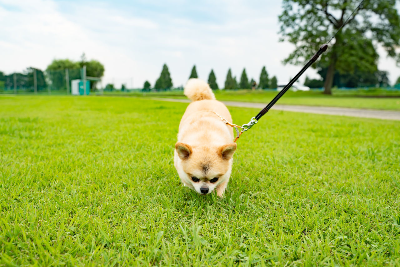 f:id:TAKAPPRS:20190916183959j:plain f:id:TAKAPPRS:20190916183959j:plain