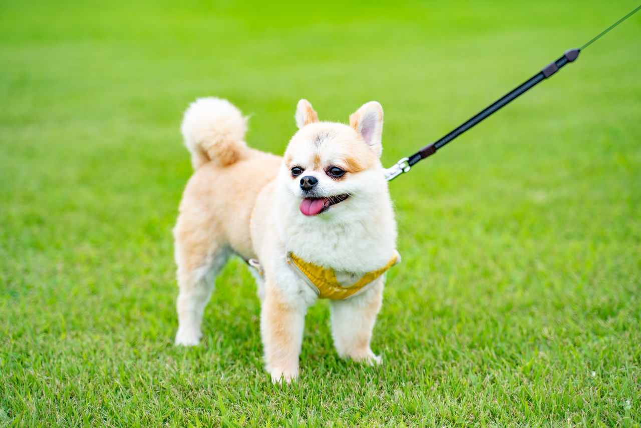 f:id:TAKAPPRS:20190916184006j:plain f:id:TAKAPPRS:20190916184006j:plain