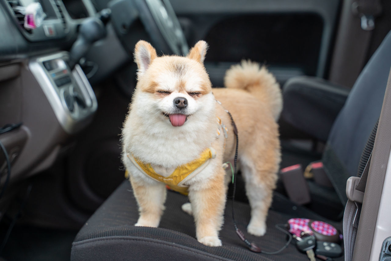 f:id:TAKAPPRS:20190916184038j:plain f:id:TAKAPPRS:20190916184038j:plain