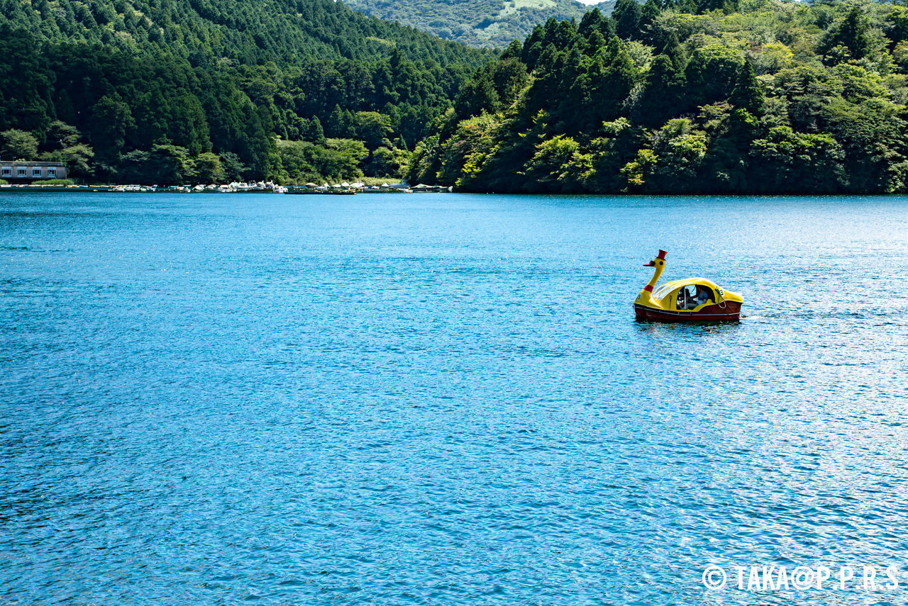 f:id:TAKAPPRS:20190916201140j:plain f:id:TAKAPPRS:20190916201140j:plain