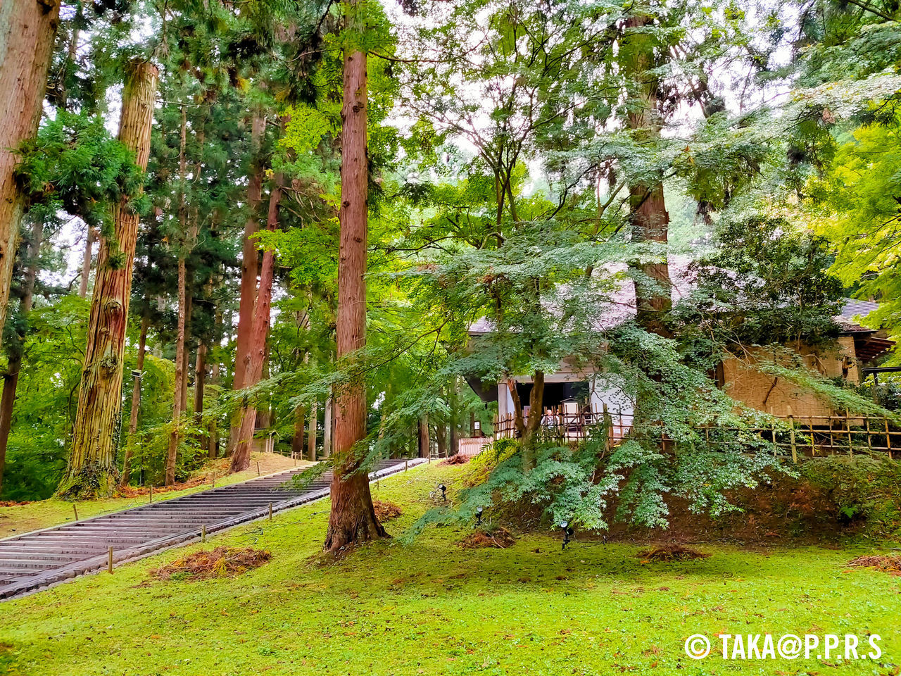 f:id:TAKAPPRS:20191102152530j:plain